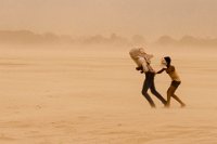 262 - SAND STORM - DAS RANJAN KANTI - india